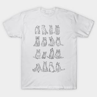 Taxonomy of Cat Breeds T-Shirt